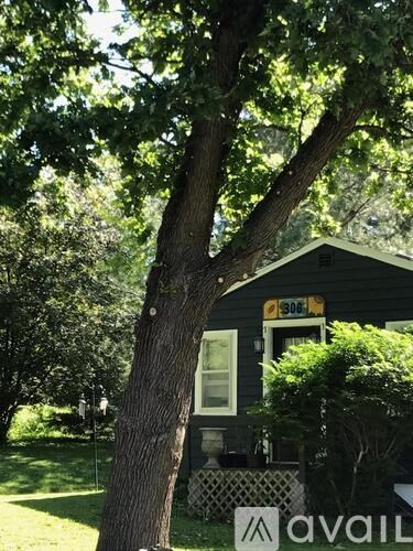 A tree in front of a house with a sign that says "avaiL".