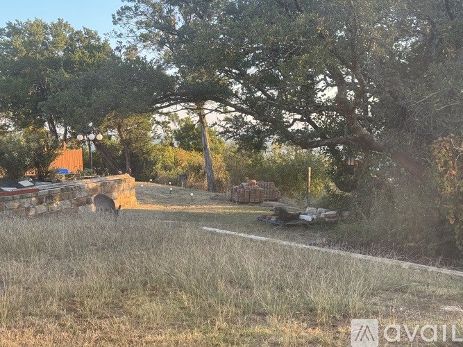 A grassy field with trees and a dirt road.