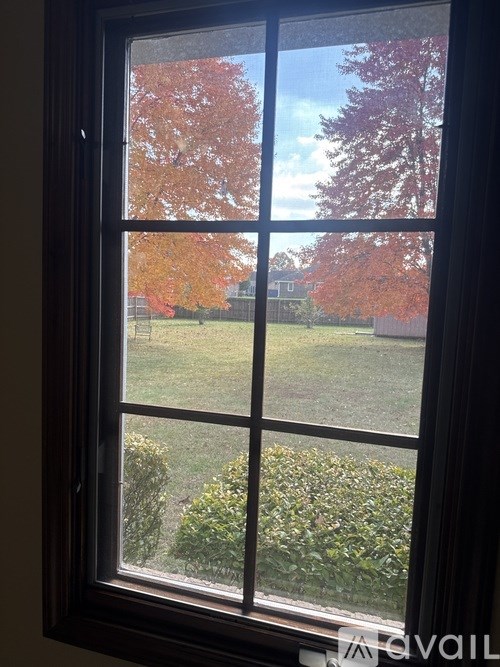 A window with a view of a lawn and trees.