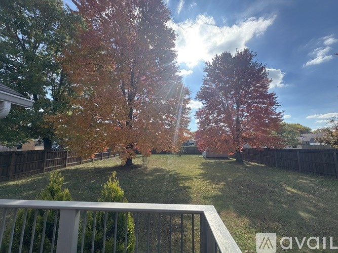 A backyard with a white fence and trees with red leaves.