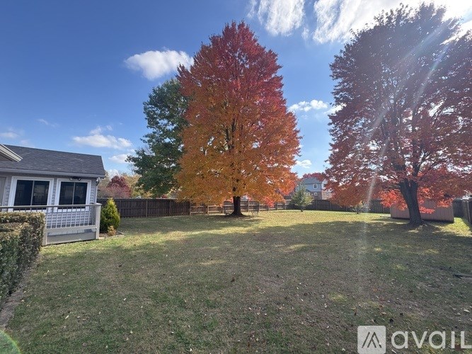 A backyard with a tree and a house.