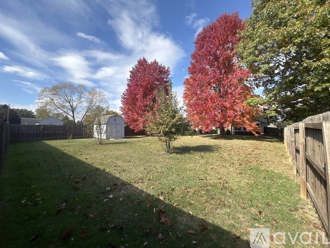 A backyard with a fence and trees with red leaves.