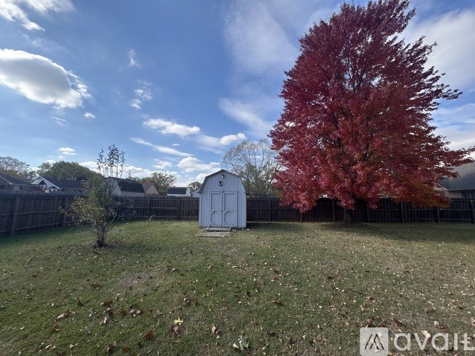 A tree with red leaves stands in a yard with a shed in the background.