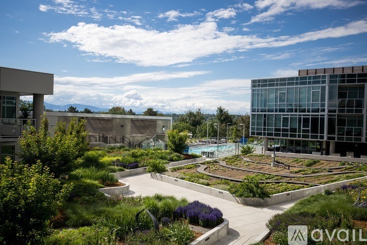A modern building with a pool in the courtyard.