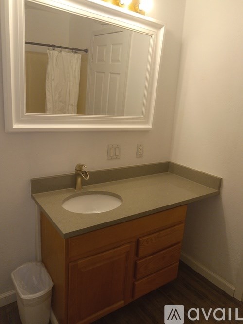 A bathroom with a sink, mirror, and trash can.