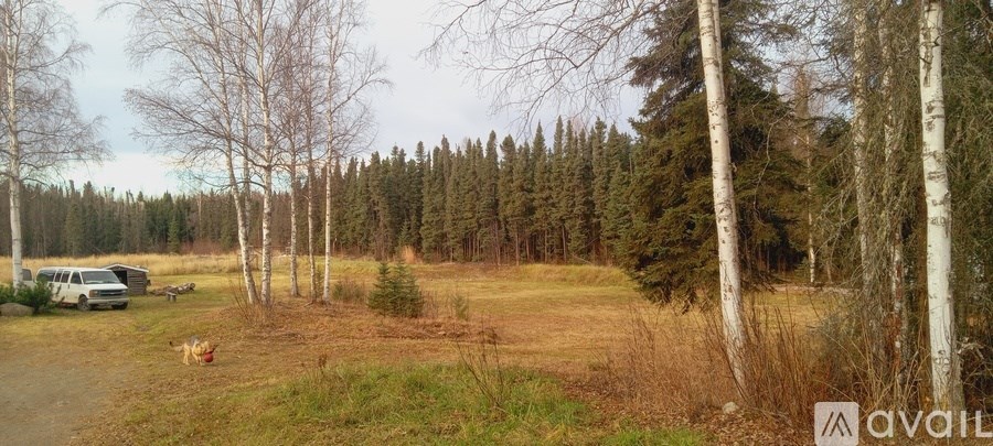A dog is sitting in the grass in front of a forest.