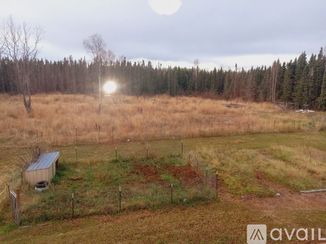 A field with a shed and fence in the foreground and trees in the background.