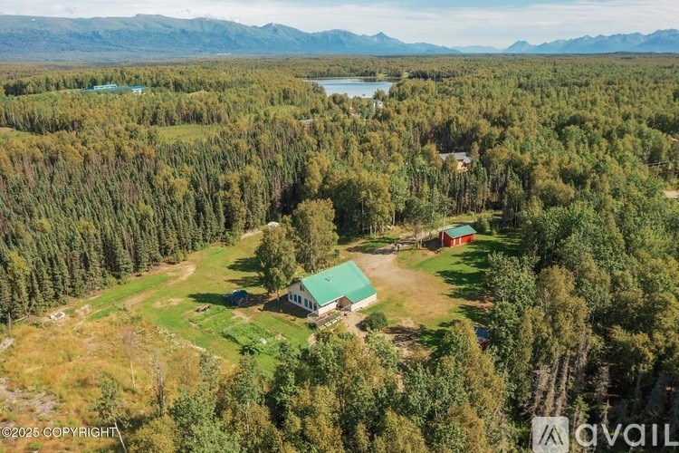 A house with a green roof is surrounded by a forest.