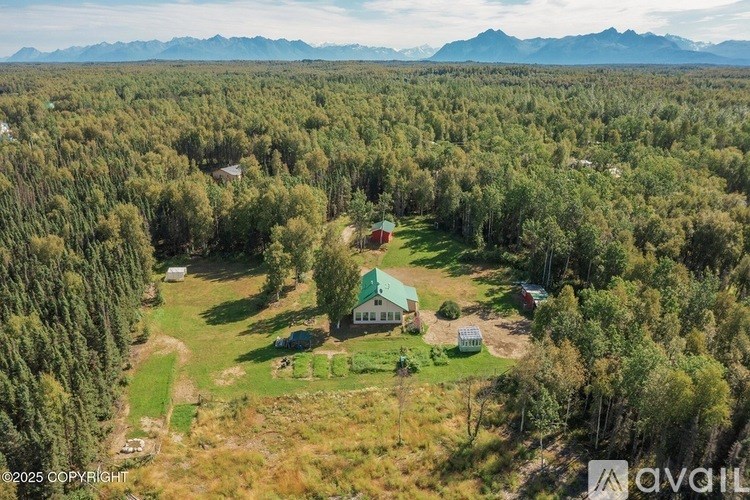 A bird's eye view of a house surrounded by trees.