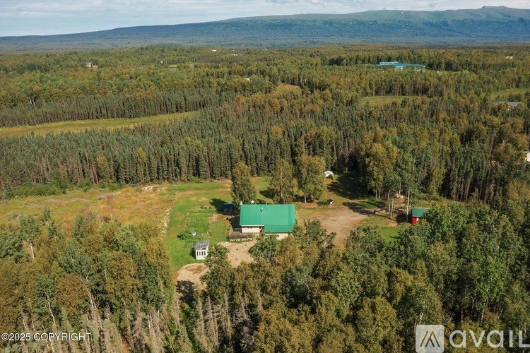 A green building sits in the middle of a forest.