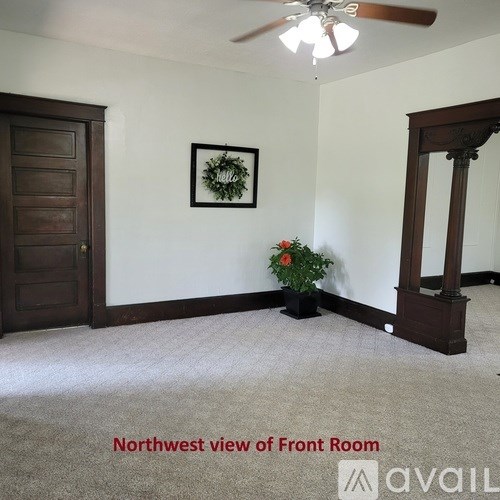 A room with a door, a plant, and a picture on the wall.