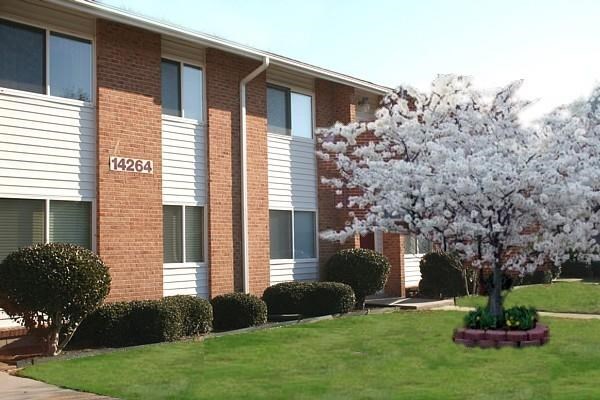 a building with a flowering tree in front of it