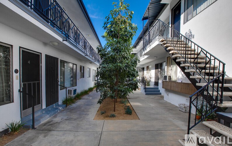 A tree in a courtyard surrounded by buildings with balconies.