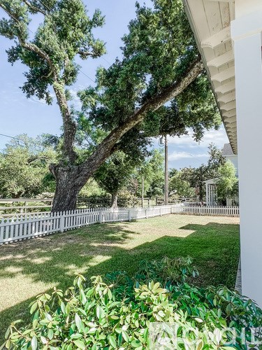 A large tree with a twisted trunk is in the middle of a grassy area.