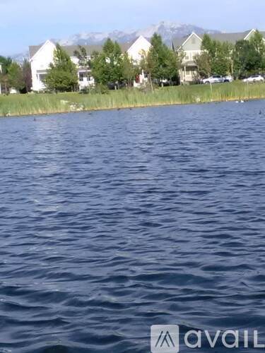 A body of water with houses and trees in the background.