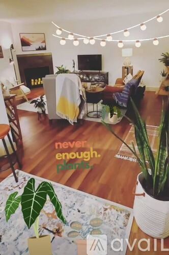 A living room with a rug on the floor and a plant in a white pot.