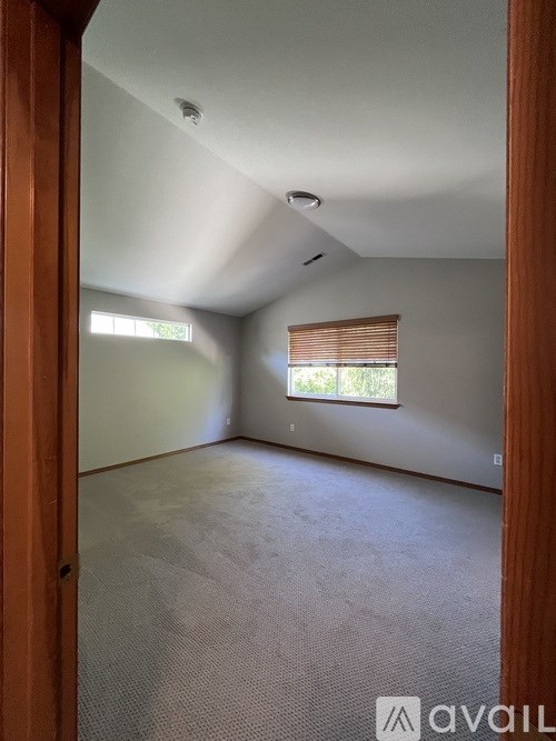 A room with a carpeted floor and a window with blinds.