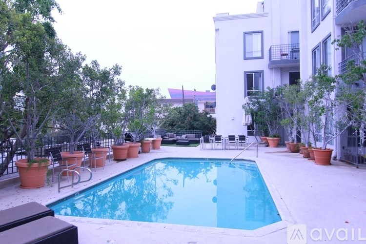 A pool surrounded by orange planters and trees.