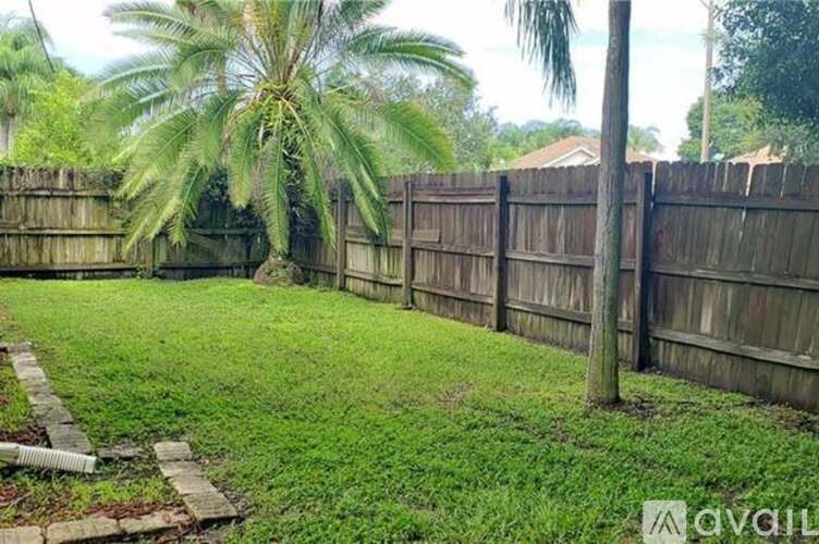 A backyard with a wooden fence and a palm tree.