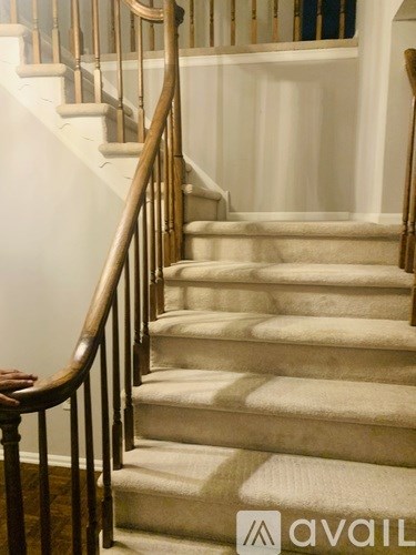 A staircase with a wooden handrail and beige carpeted steps.