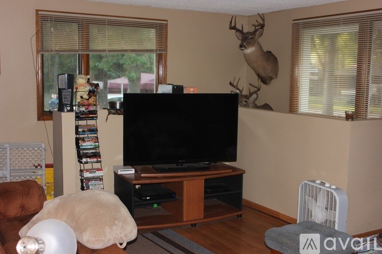 A living room with a television and a deer head on the wall.