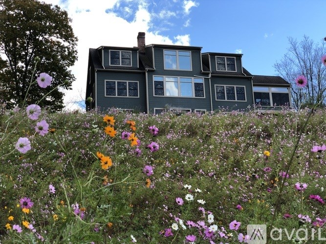 A house with a grey exterior is surrounded by a field of flowers.