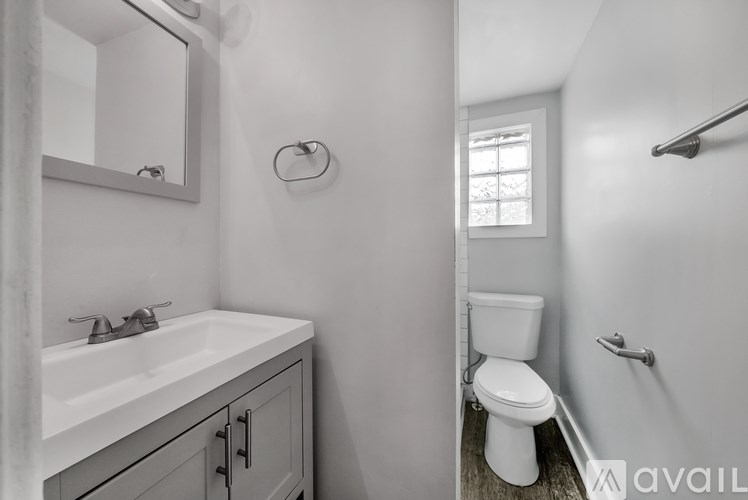 A bathroom with a white toilet and a sink with a mirror above it.
