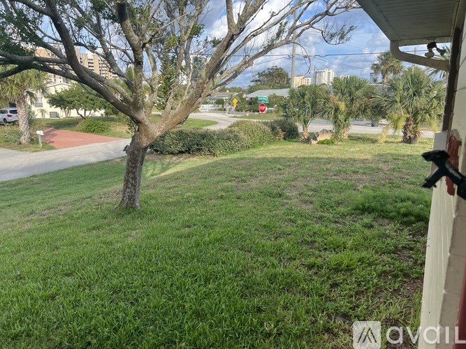 A tree in a grassy area with a building in the background.