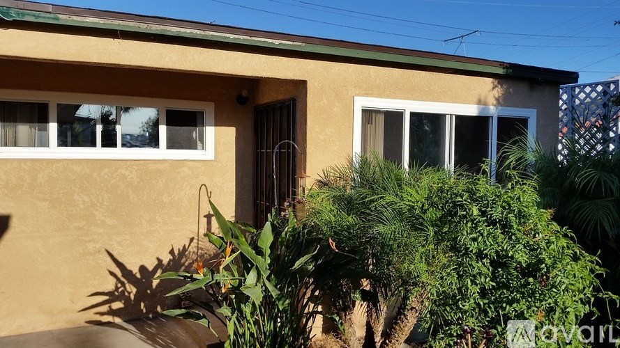 A house with a brown wall and a green plant in front.