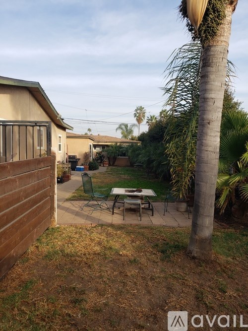 A backyard with a palm tree and a patio table.