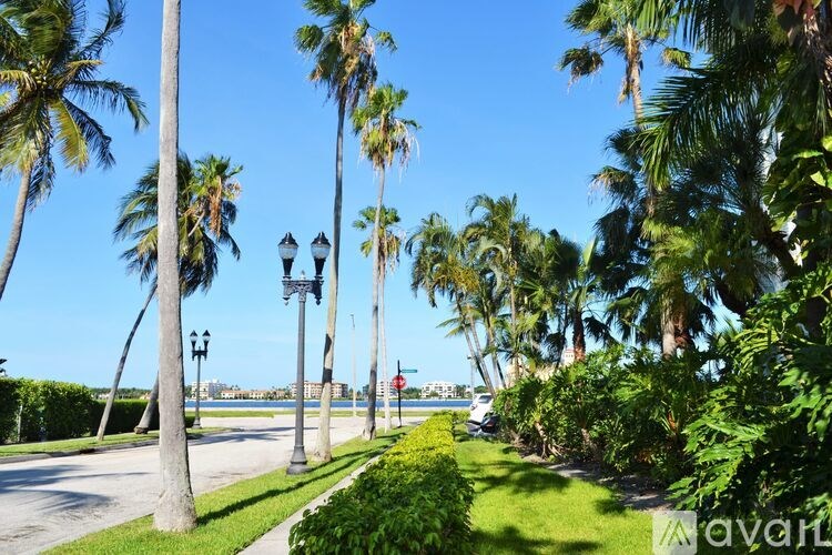 A row of palm trees line a street.