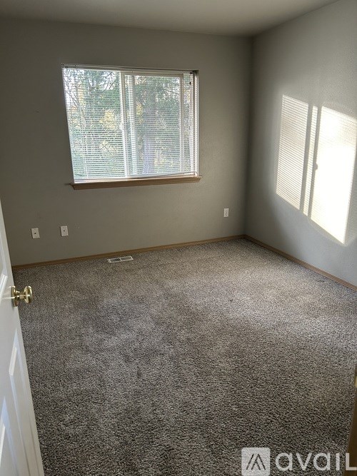 A room with a carpeted floor and a window with blinds.
