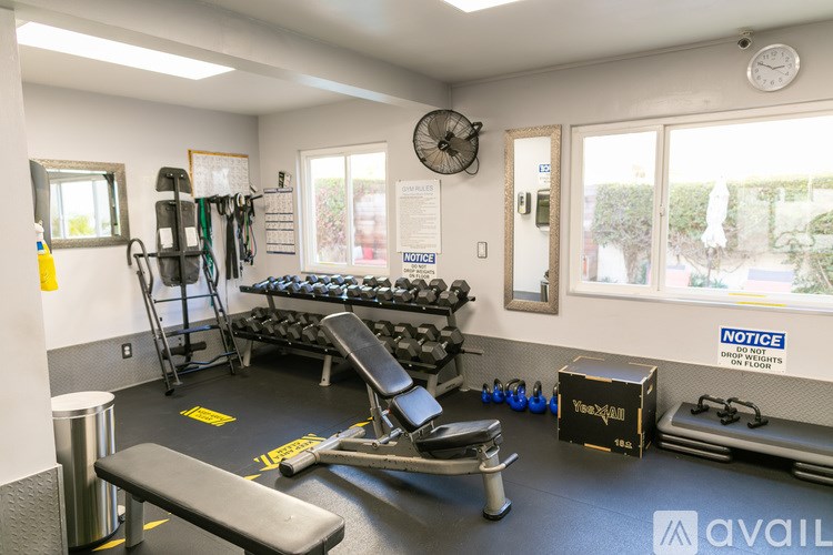A gym with a variety of equipment including a bench, weights, and a mirror.