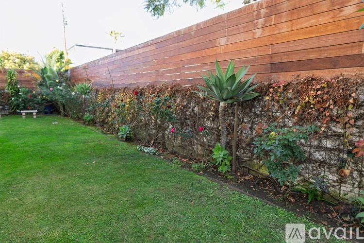 A wall of green plants and shrubs.