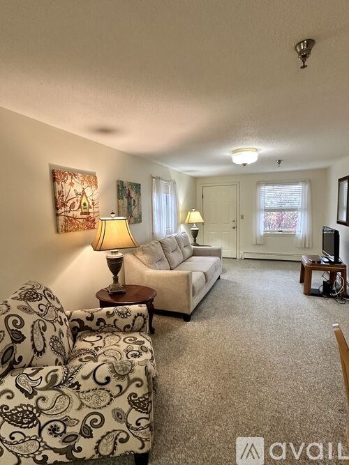 A living room with a sofa, armchair, and lamp.
