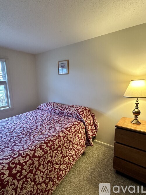 A bedroom with a bed, dresser, and lamp.
