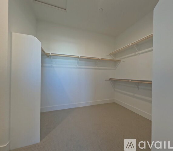 A white closet with a carpeted floor and a white door.