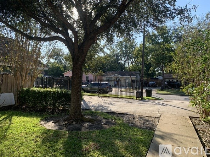 A tree in a yard with a sign that says "avail" in the bottom right corner.