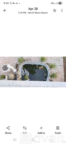 A small pond with rocks and plants in the foreground.