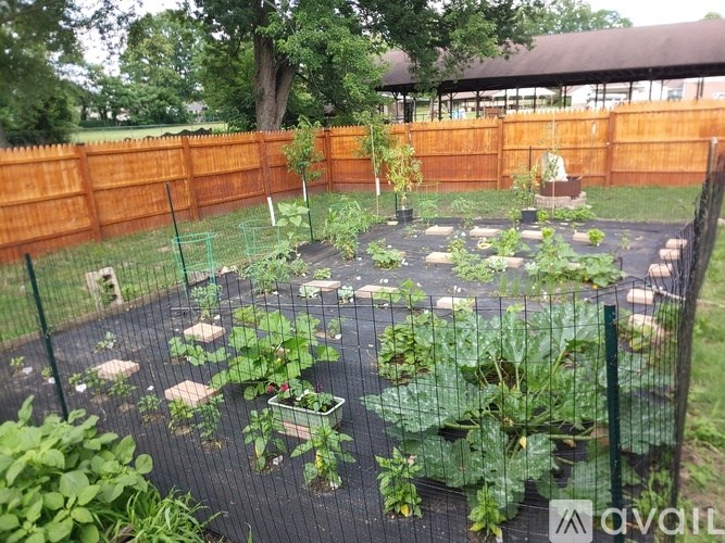 A garden with a mesh fence and plants growing in it.