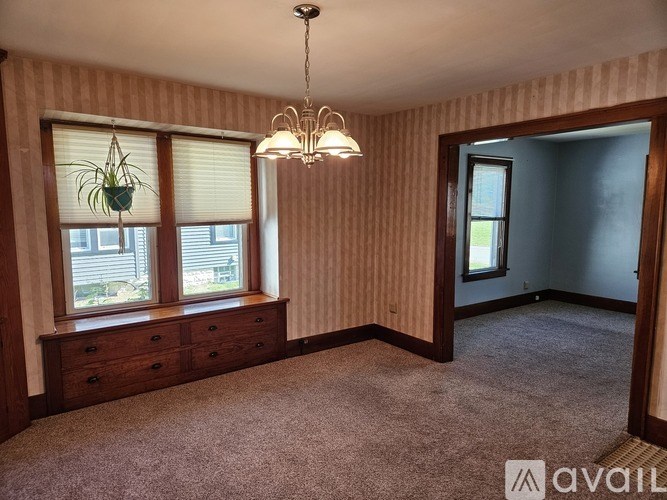 A room with a carpeted floor, a wooden dresser, and a hanging plant.