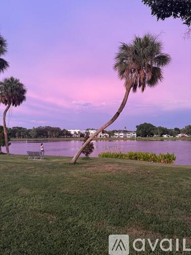 A palm tree stands in a grassy area by a body of water.
