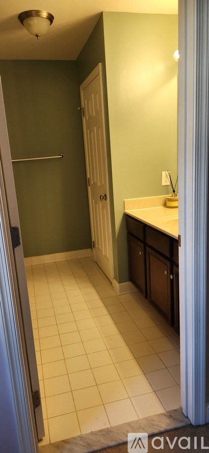 A bathroom with green walls and a white door.