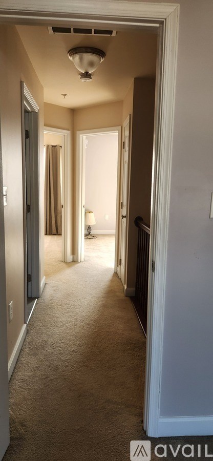 A hallway with a carpeted floor and a light on the ceiling.