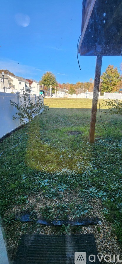 A grassy area with a black object in the foreground.