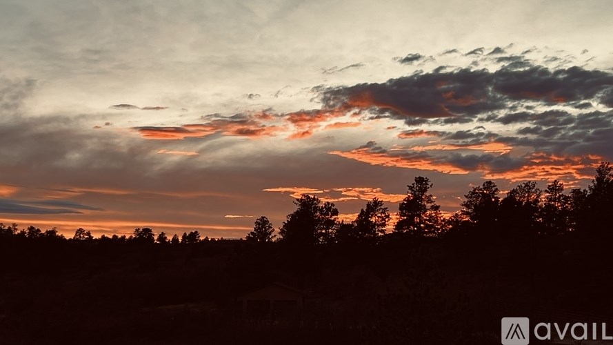 A beautiful sunset with clouds and trees silhouettes.