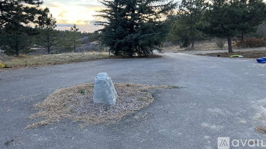 A clear plastic bottle is placed on a pile of straw in the middle of a paved area.