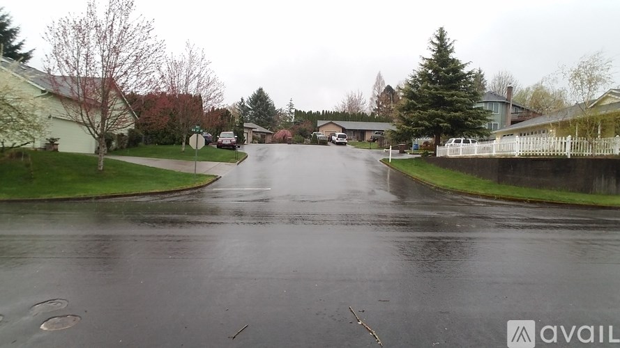 A wet street in a residential area with houses on both sides.