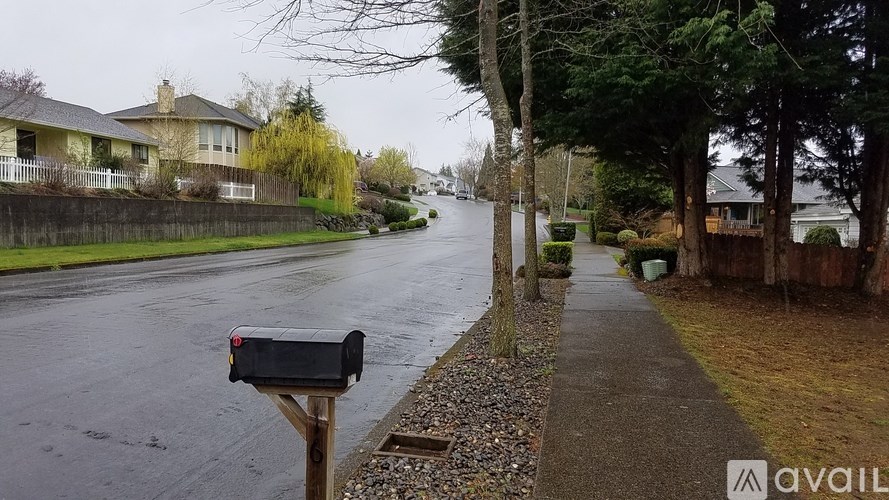 A wet street with a mailbox on the side.