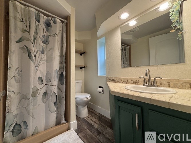 A bathroom with a toilet, sink, and shower curtain.